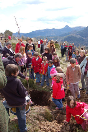 Les enfants plantent un arbre